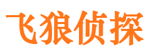 惠阳市私家侦探